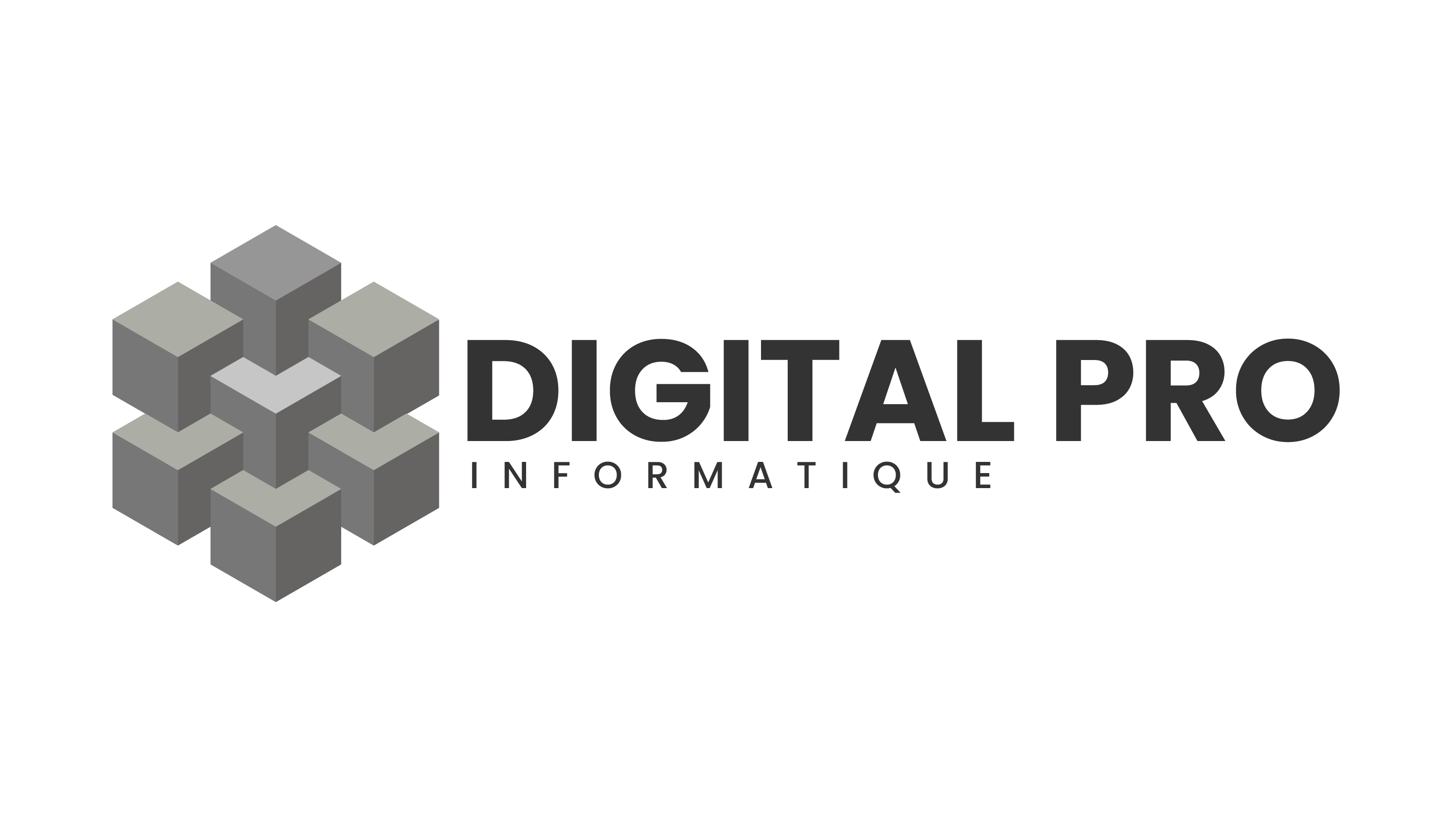 Digital Pro Informatique - Expert Informatique - PC/Mac